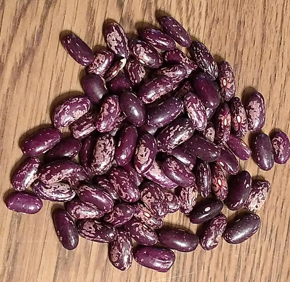 Maharage / Beans