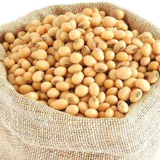 Soya Beans