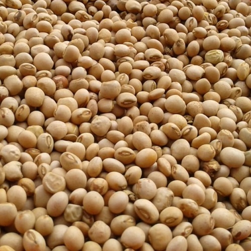 Mbaazi